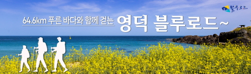 영덕군 블루로드