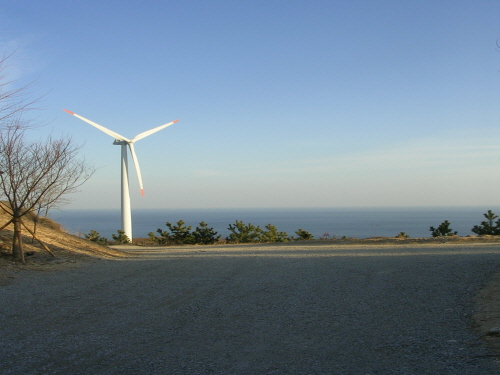 영덕 블루로드 걷기 체험 행사