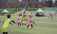 영덕 유소년축구 풋볼페스타 스프링리그 성료